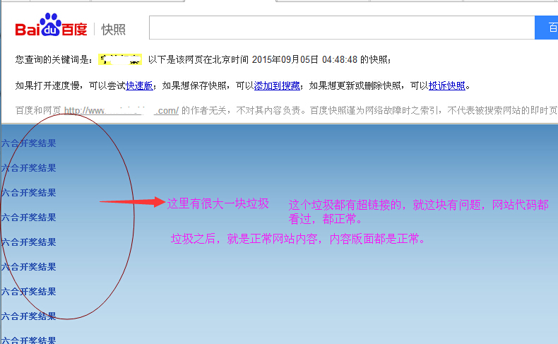 揭秘百度快照频繁更新的秘密，站点收录为何迟缓？